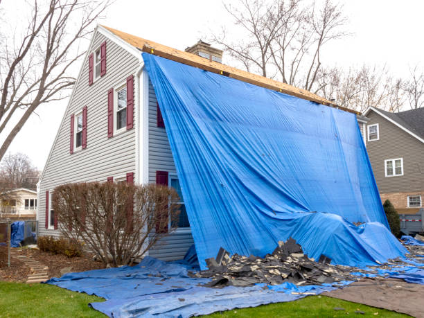 Best Hoarding Cleanup  in West Hurley, NY